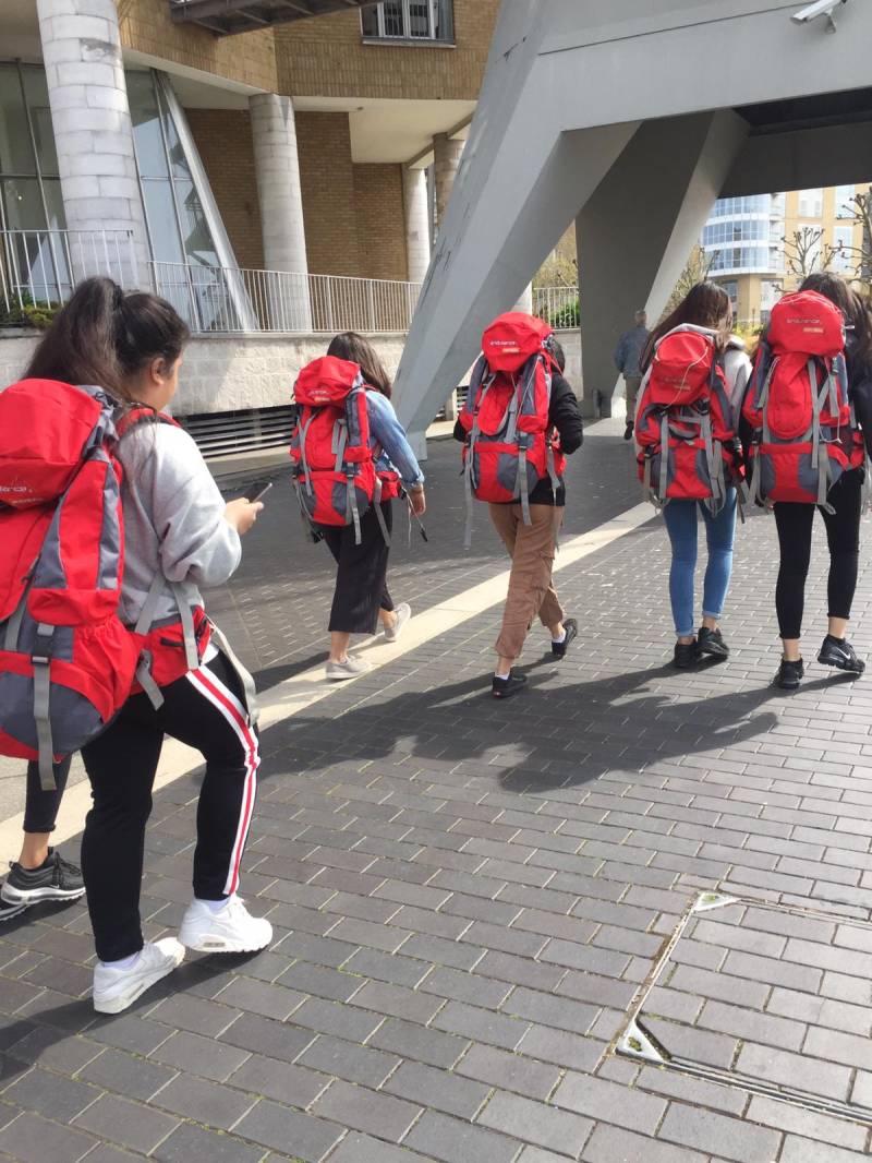 Education & Employment